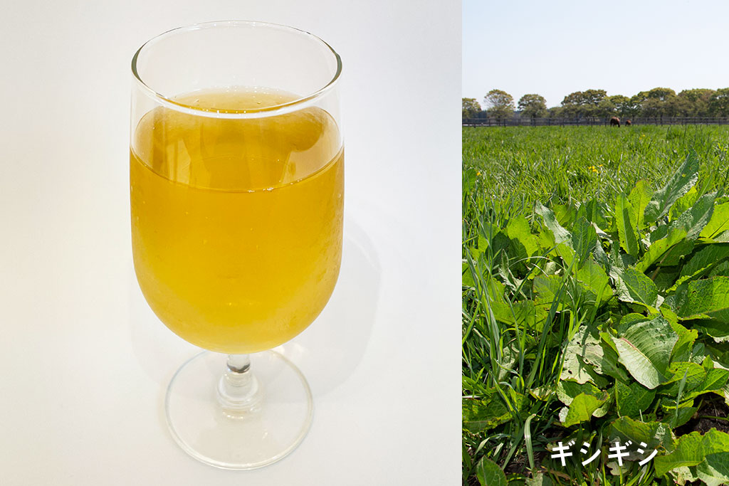 ギシギシ茶(Ice)